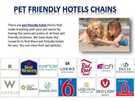 pet friendly hotel chains list.